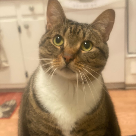 Meet your Posher, Kaitlyn - Picture 7 of 11